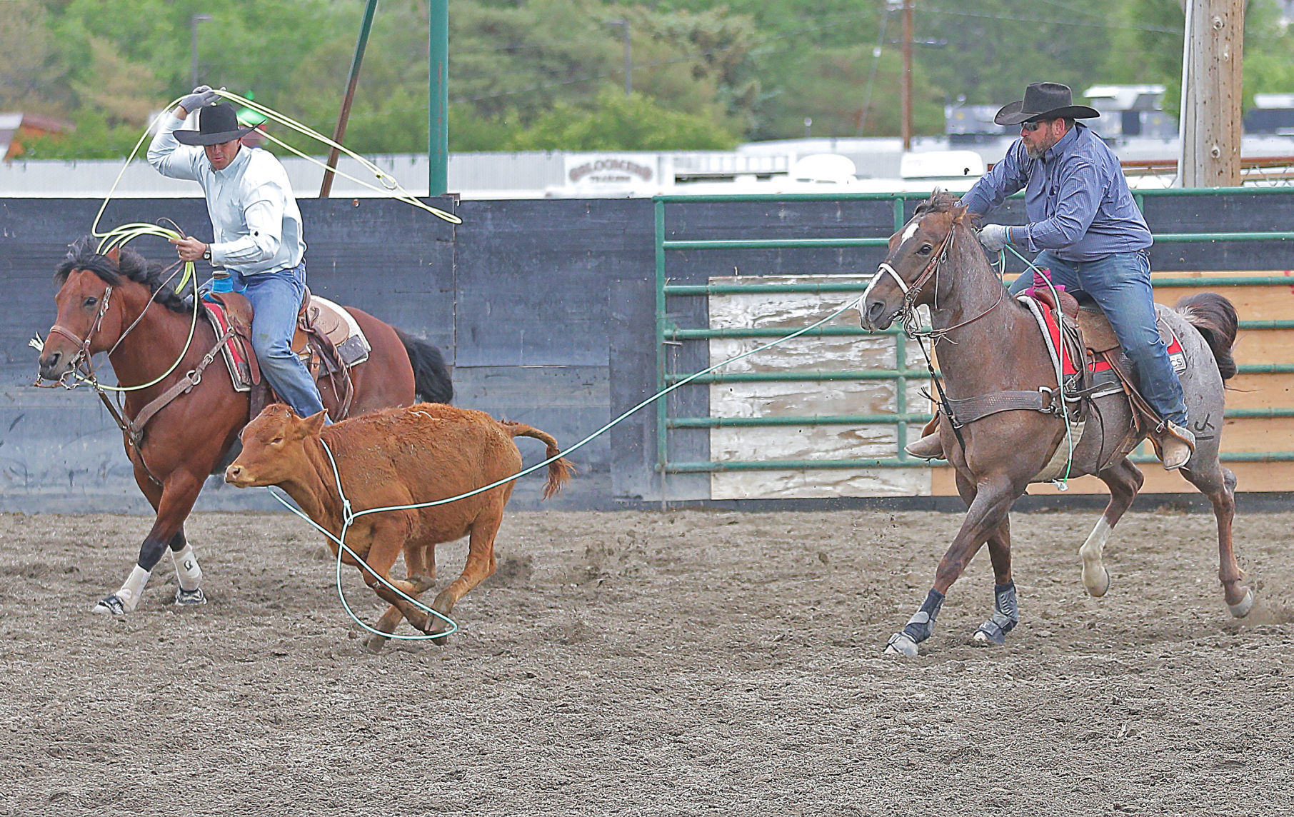 061020-elk-spt-jake-eary-memorial-rodeo-blake-teixeira-hanes-holman.jpg